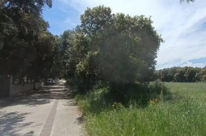 Lands and plots for sale in Igúzquiza, imagen 7