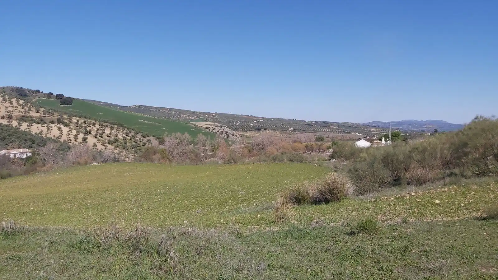 Terrains et parcelles à vendre à Setenil de las Bodegas, imagen 7