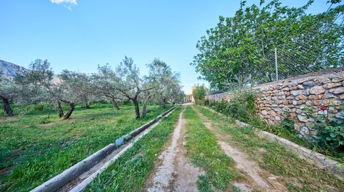 Foto 5 de Finca rústica en venta en Camino de la Vegueta, Órgiva, Granada