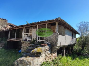 House with garden for sale in Allariz