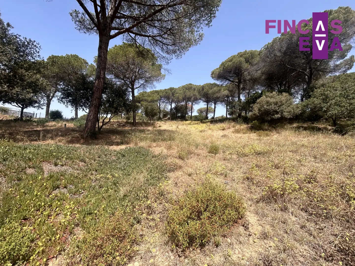 Rural land for sale in Vallromanes - CL SANT ANDREU, imagen 2