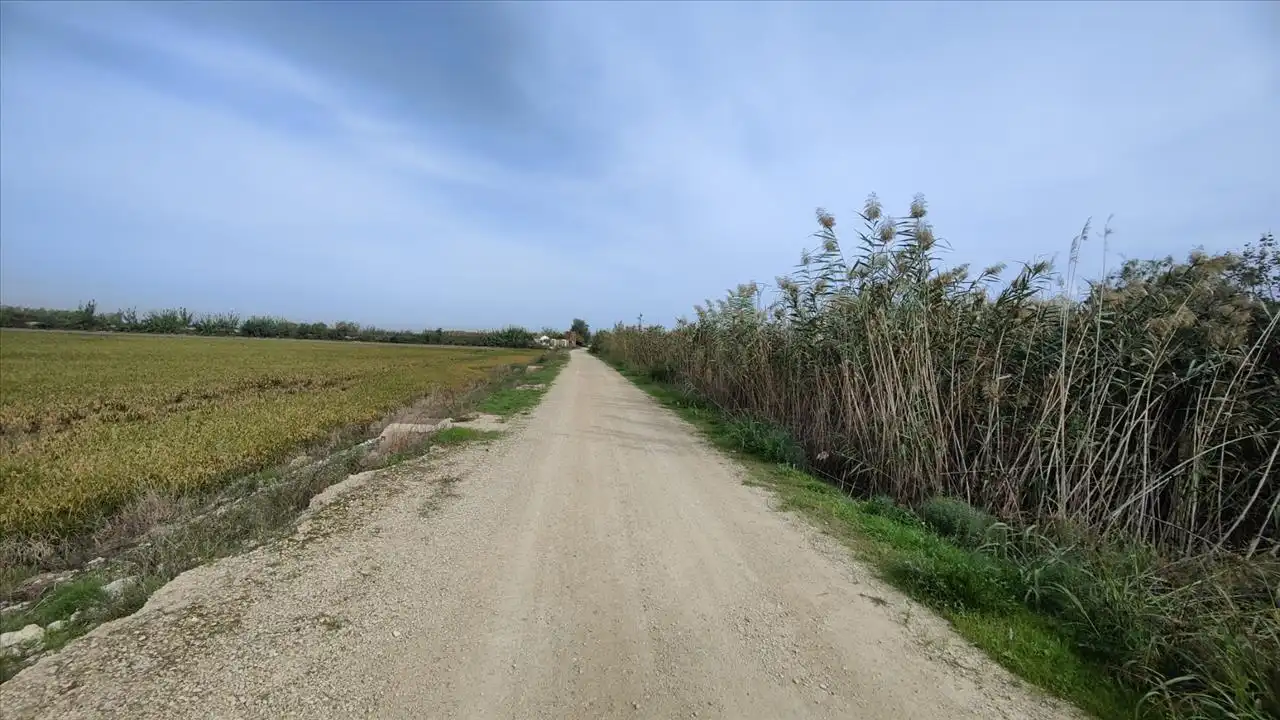 Rural land for sale in Polígono 8, 969