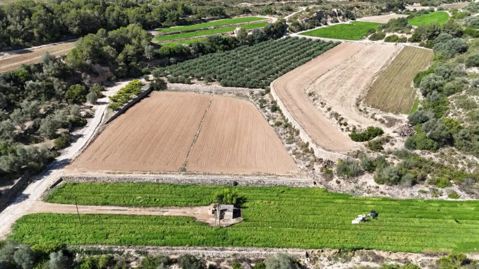 Terreno rustico in vendita a Benifallet - carretera C12, imagen 20