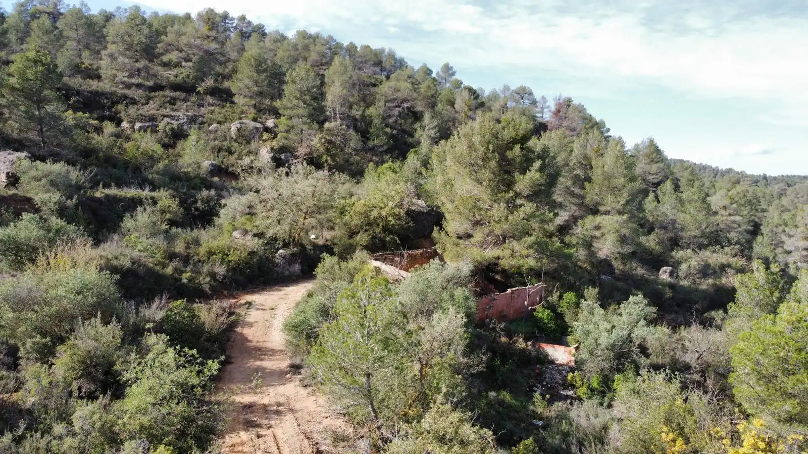 Terreno rustico in vendita a Cervià de Les Garrigues, imagen 8