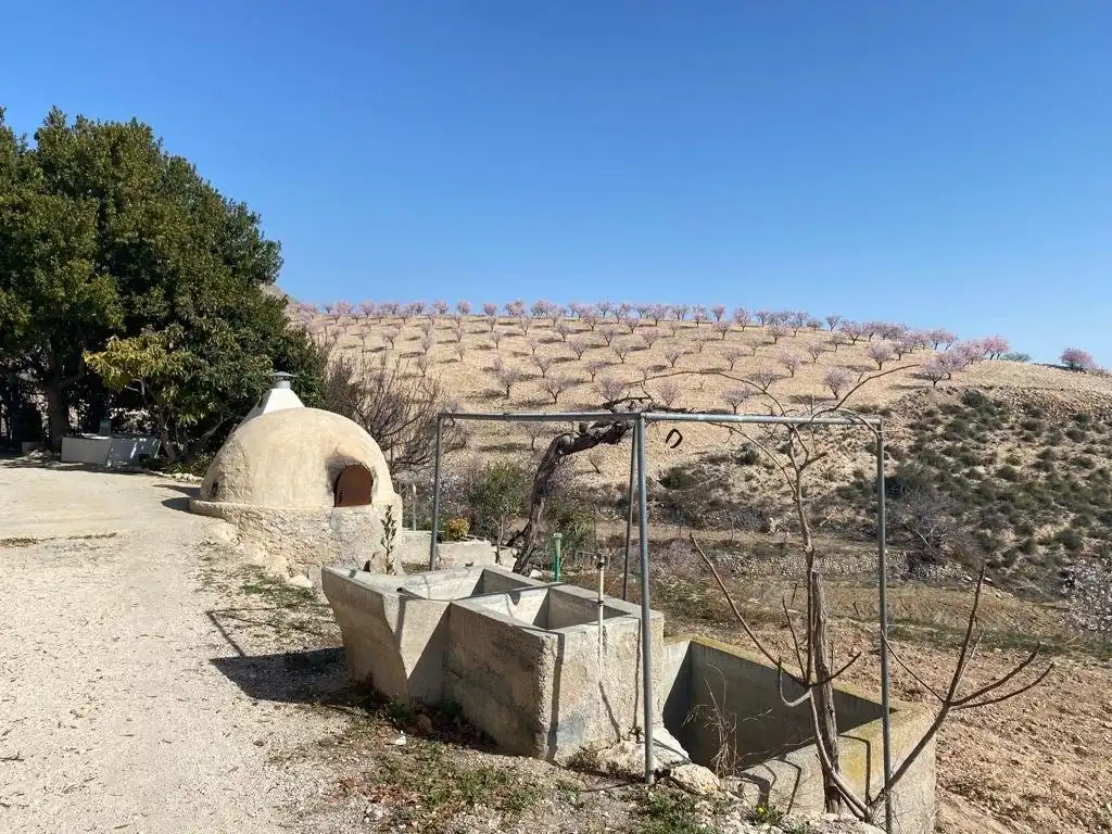 Jardín de Finca rústica en venta en Lorca con Terraza