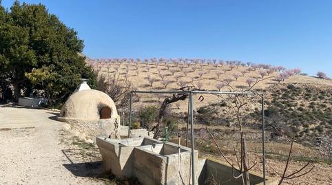 Foto 5 de Finca rústica en venta en Fontanares, Murcia