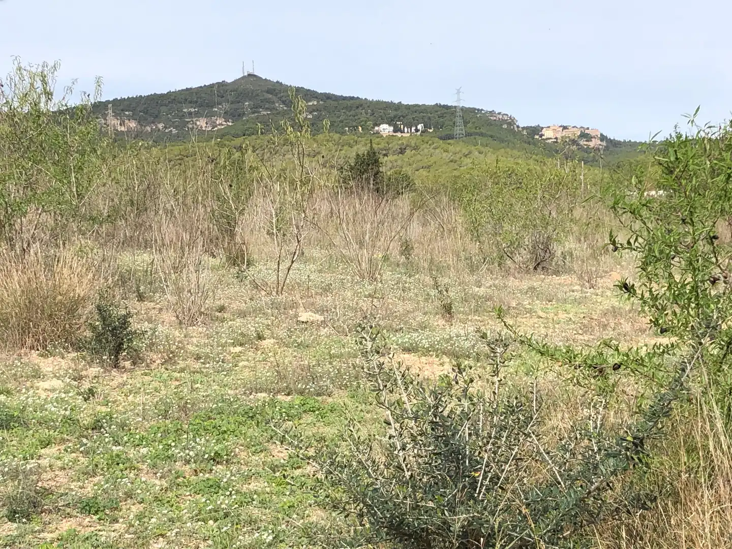 Terreno rústico en venta en Partida Alborada 1, imagen 15
