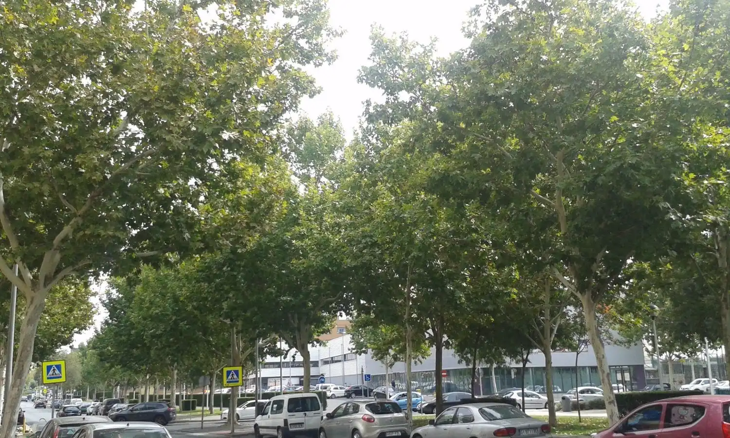 Aparcament en venda a Avenida Tablas de Daimiel, imagen 14