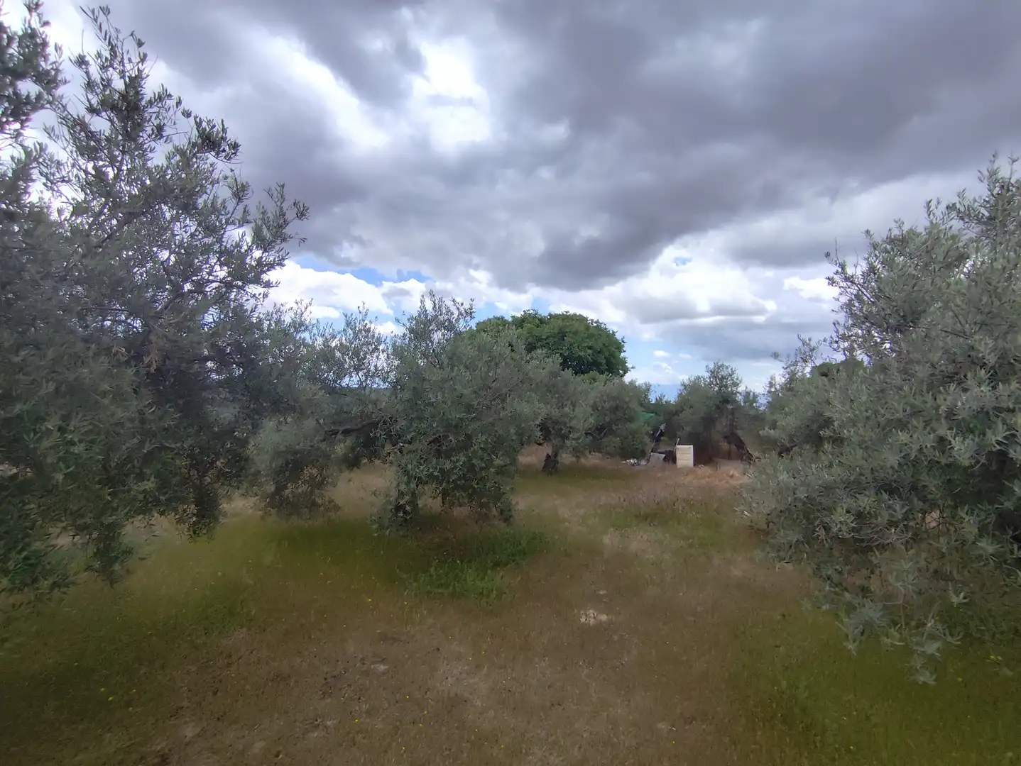 Country house zum Verkauf in Úbeda mit Schwimmbad