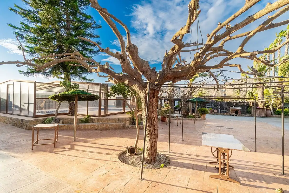 Maison rustique avec piscine à vendre à Orihuela ciudad, imagen 6