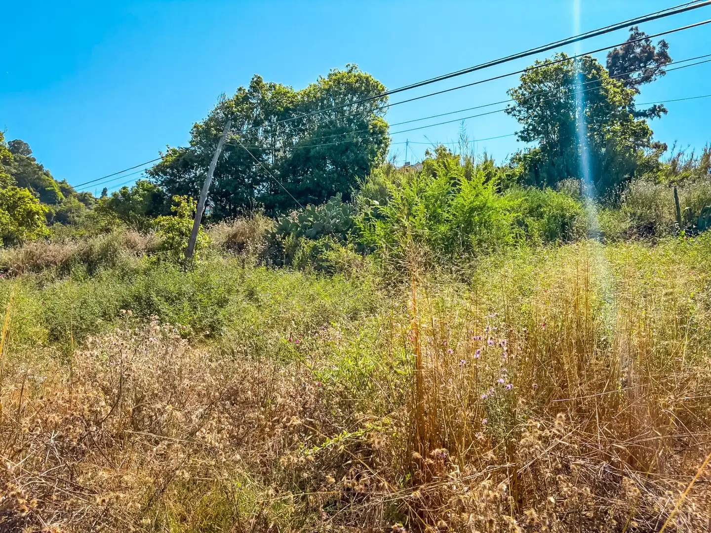 Casa o chalet en venta en Valleseco