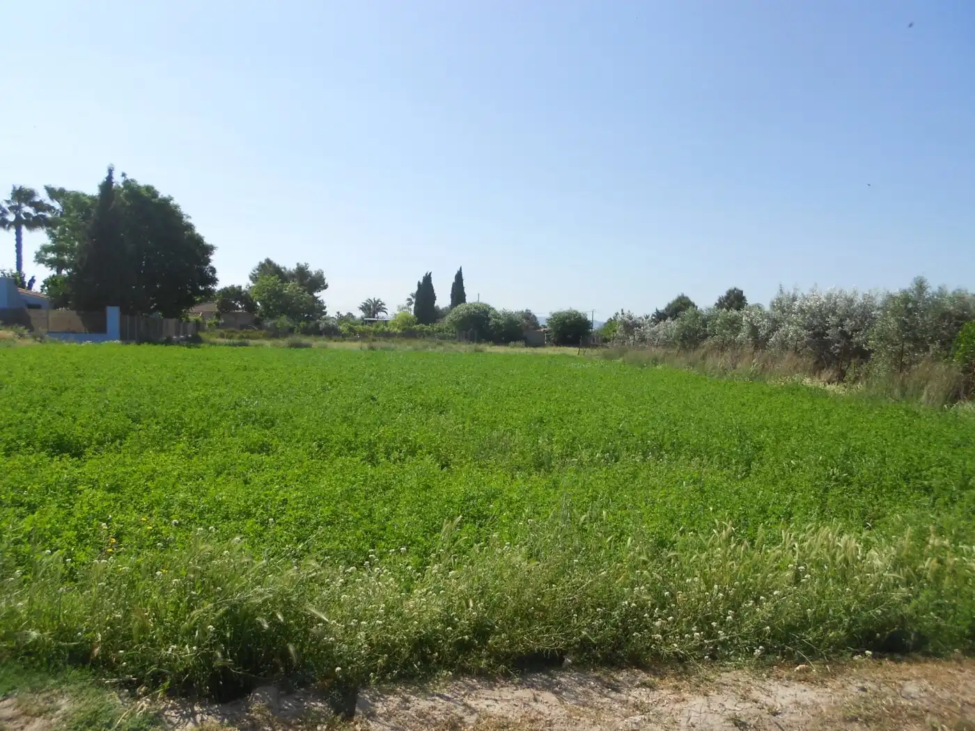 Terreny residencial en venda a El Llano