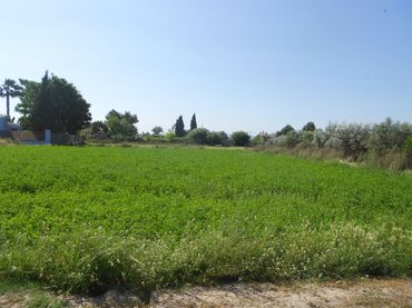Terreno residenziale in vendita a El Llano