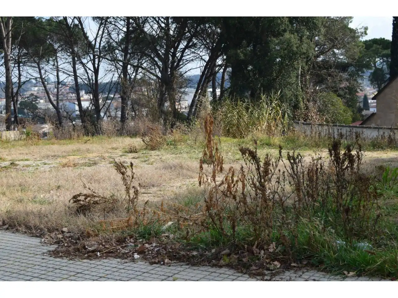 Terreno residencial en venta en Calle Alguer 55, imagen 5