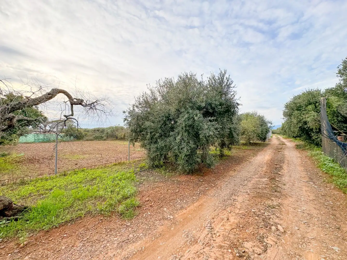 Finca rústica en venda a BURGAR DEL, 40, Riudoms