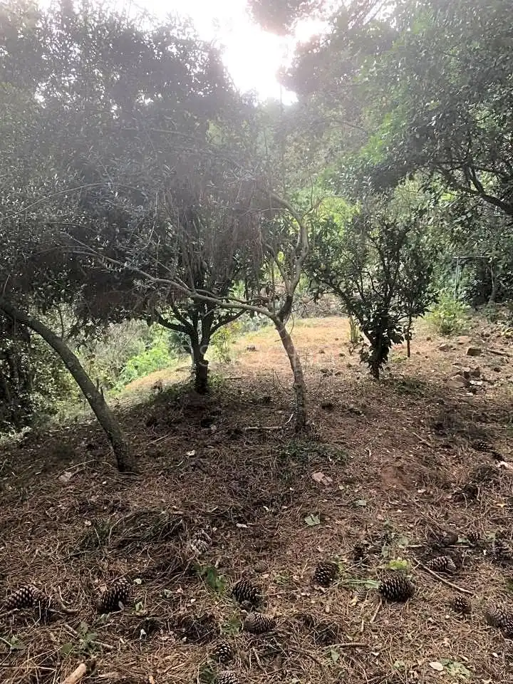 Finca rústica en venta en Arbúcies con Jardín privado, Terraza y Amueblado