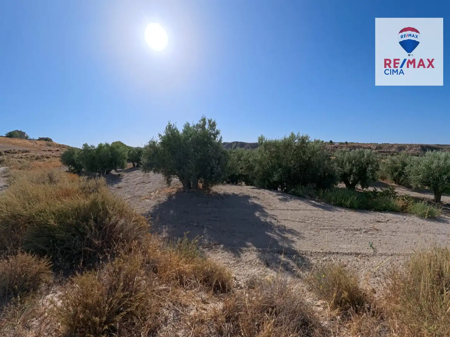 Finca rústica en venda en Benamaurel