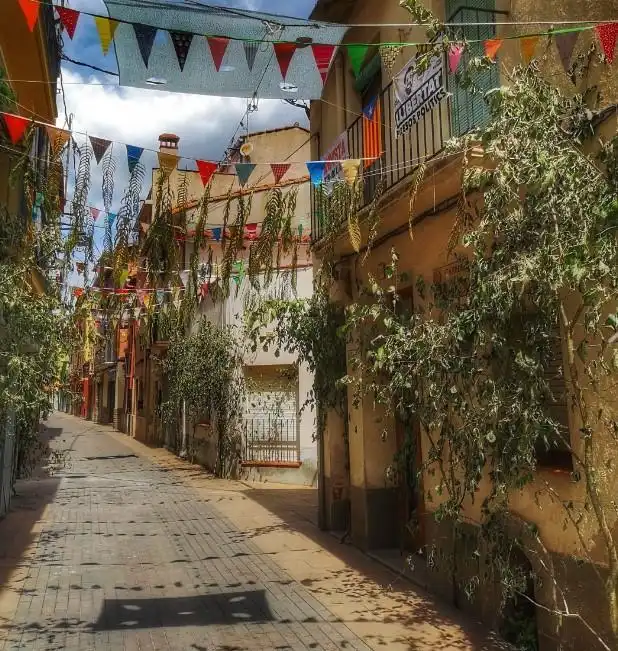 Casa rústica amb jardí en venda a Arbúcies, imagen 143