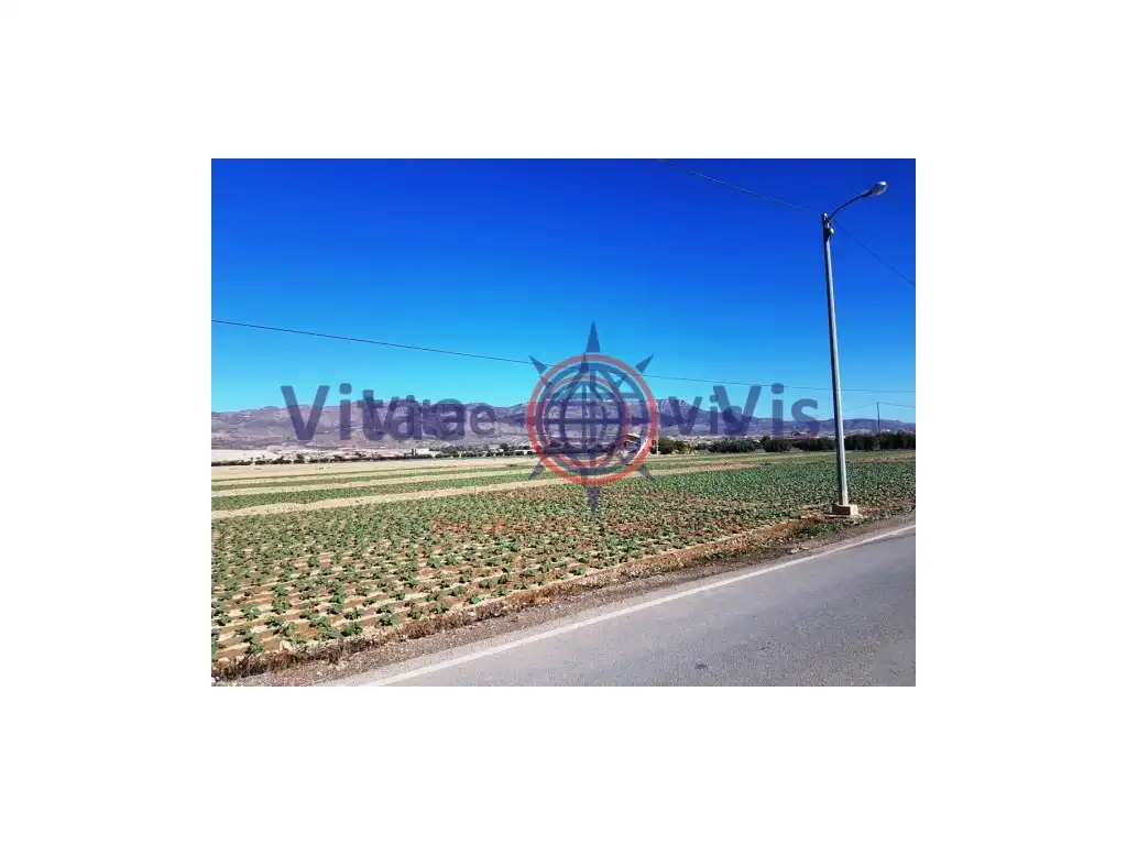 Residential land for sale in Diseminados Cazalla, imagen 3