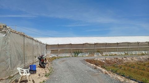 Foto 4 von Grundstücke zur Miete in Partida Maitino, 1117, Perleta - Maitino, Elche / Elx