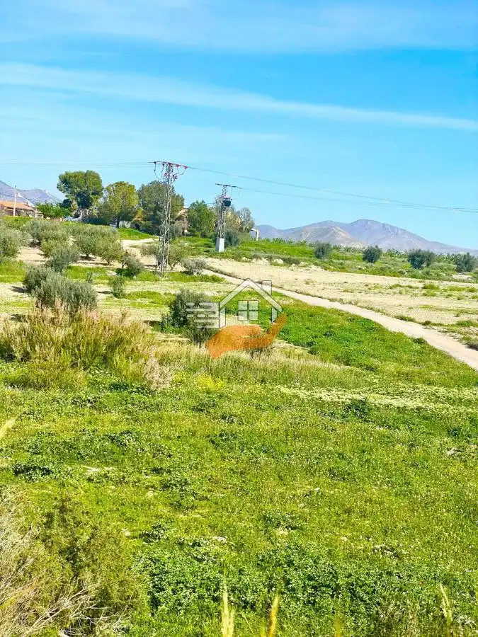 Lands and plots for sale in Pedanías Norte, imagen 7