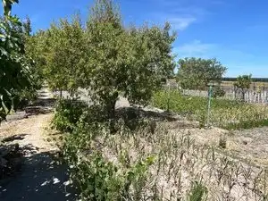 Chalet con jardín en venta en Plaza Descubrimiento, imagen 19