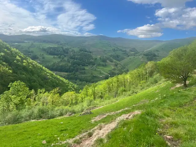 Vista exterior de Finca rústica en venda en Vega de Pas