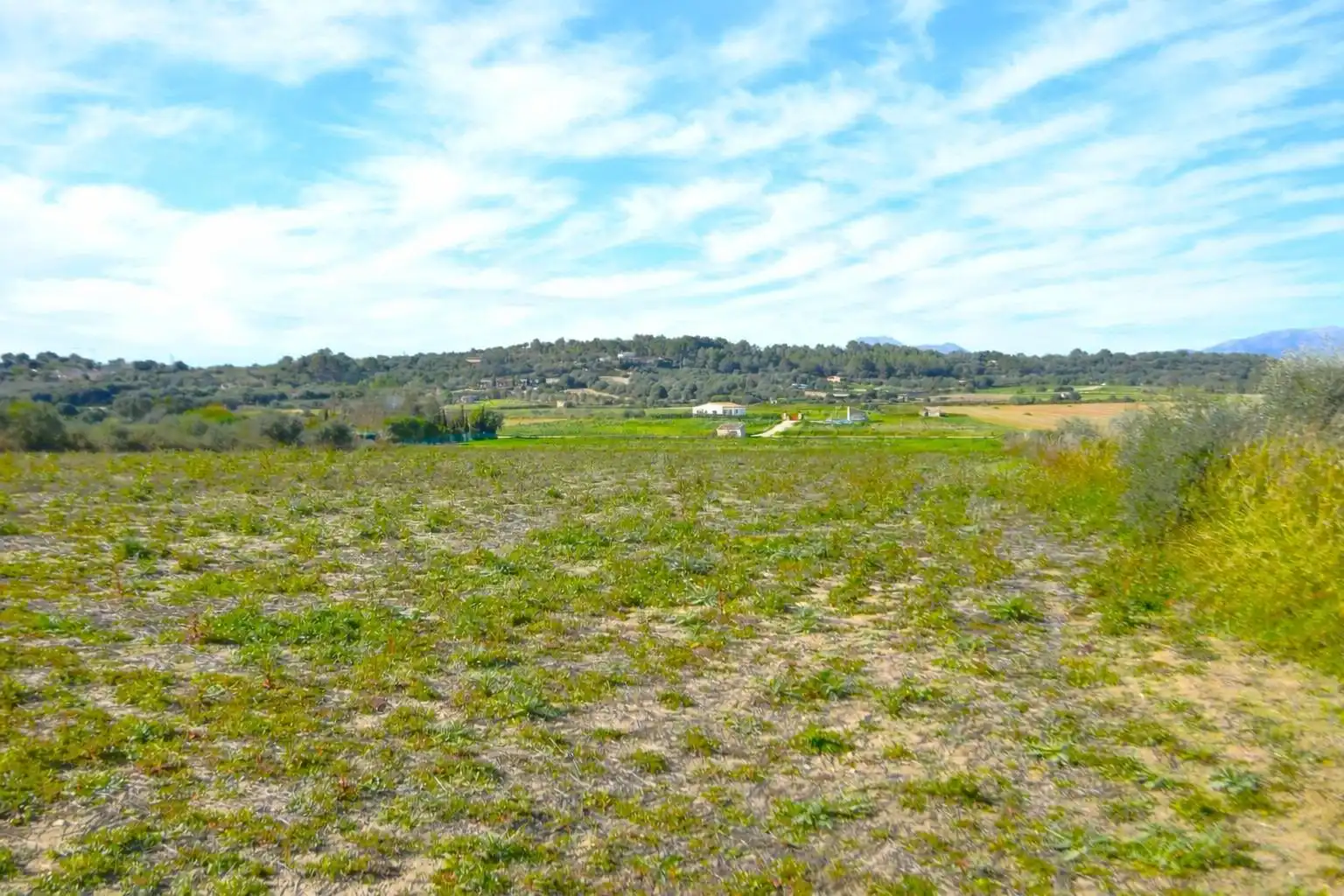 Residential land for sale in Muro, imagen 2