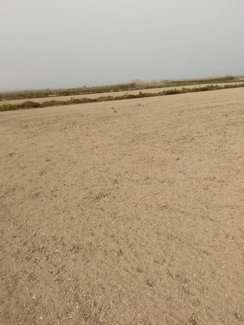 Terreno en venta en Elche / Elx