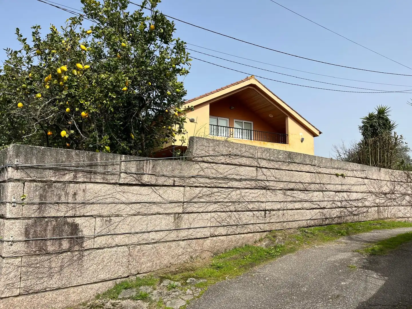 Exterior view of Houses for sale in Vigo   with Private garden, Terrace and Swimming Pool