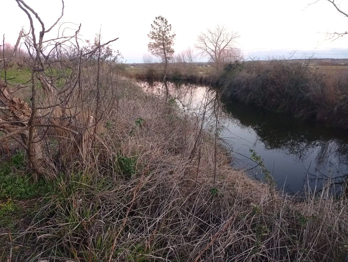 Land for sale in Losar de la Vera