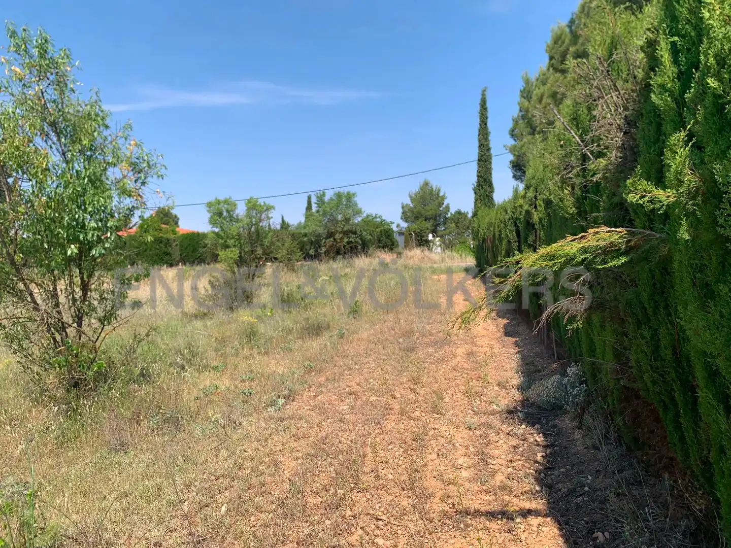 Terreny rústic en venda a Requena, imagen 17