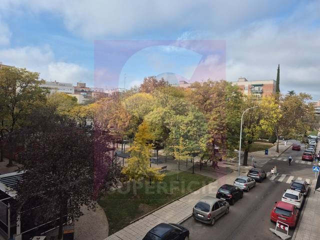 Piso en Venta en Calle Fernando Sánchez Sampedro en Pardaleras