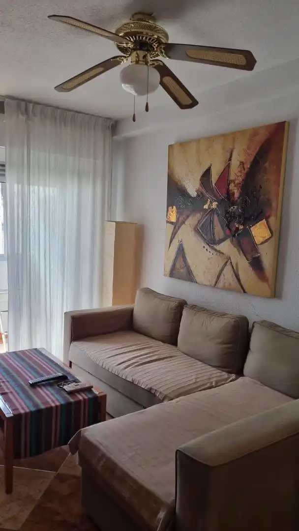 Sala d'estar de Pis de lloguer en Madrid amb Aire condicionat, Calefacció i Parquet