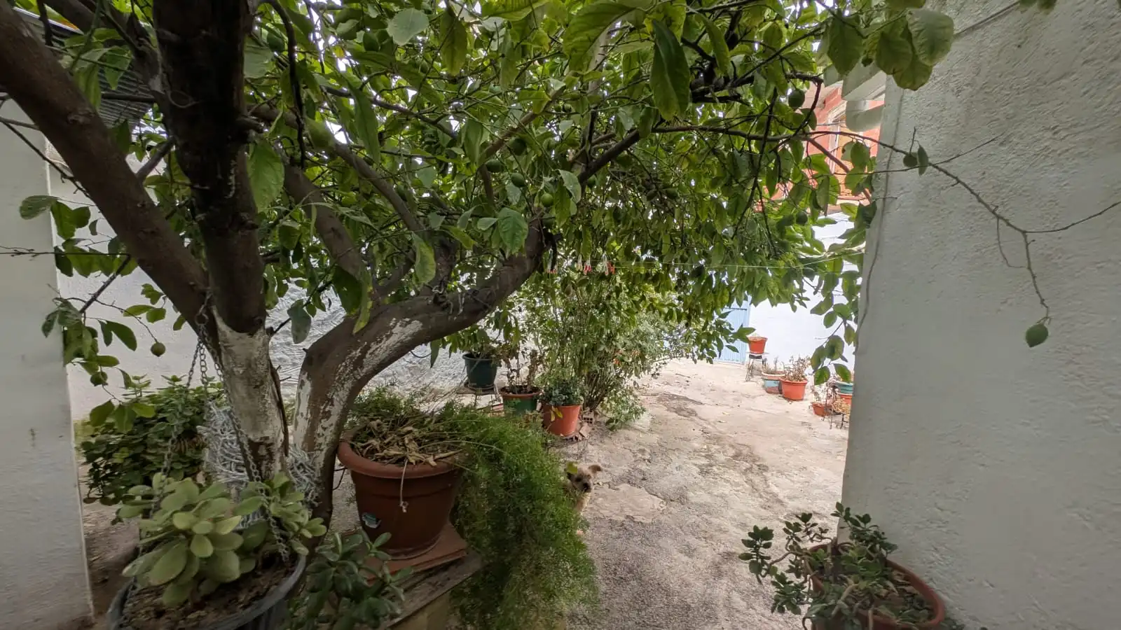 Casa con terrazza in vendita a Alcaudete, imagen 11