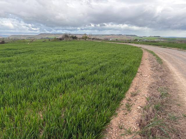 Terreno en Venta en Alberite