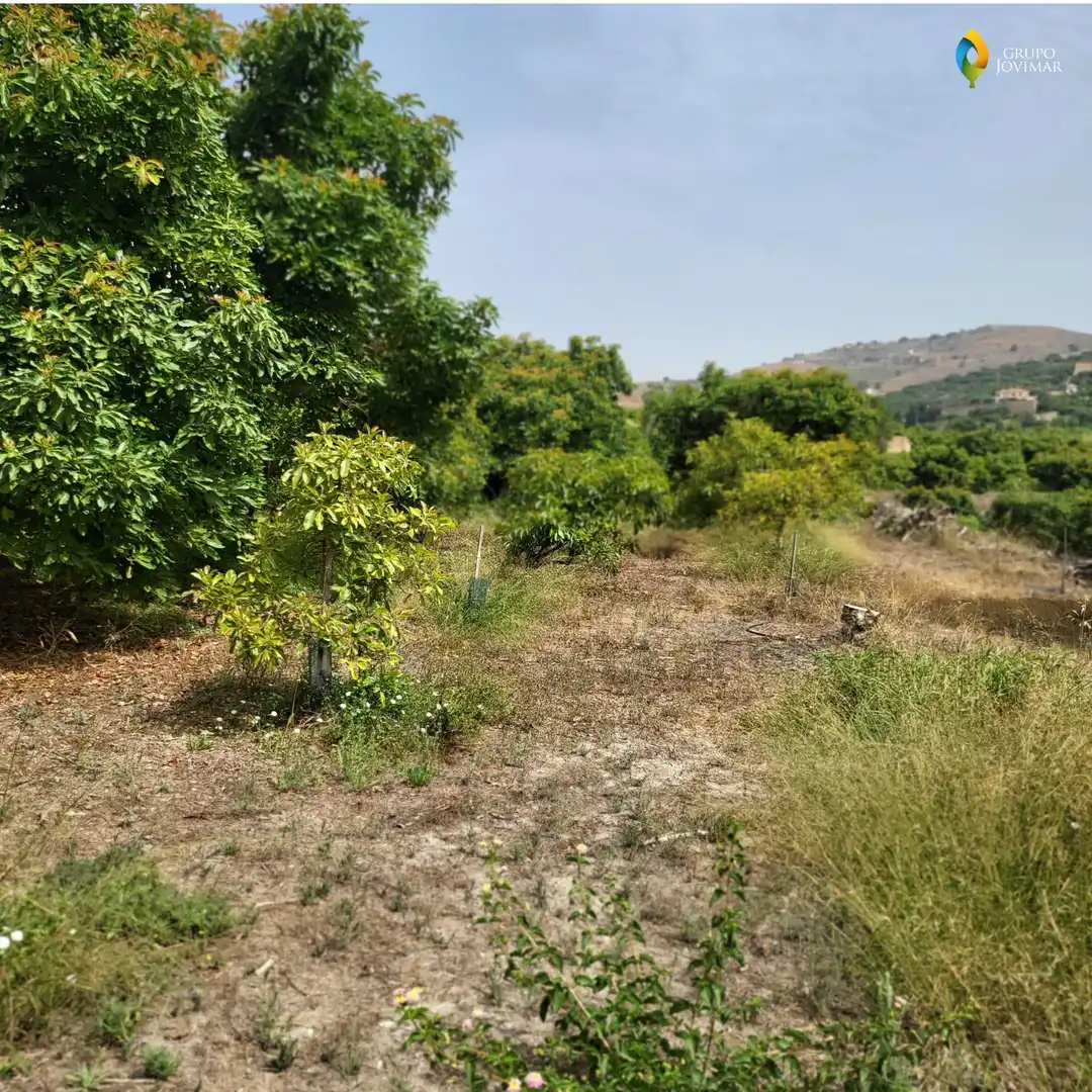 Terreno en venta en Motril  ciudad