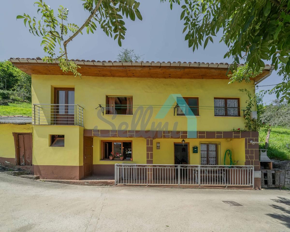 Vista exterior de Casa o xalet en venda en Piloña amb Jardí privat i Terrassa