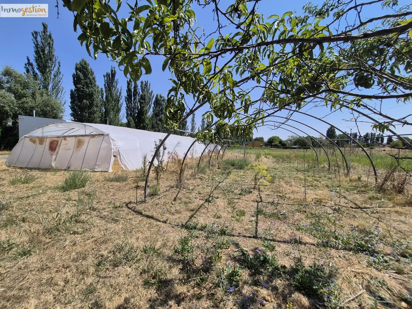 Fabrikhallen zum Verkauf in Tudela de Duero