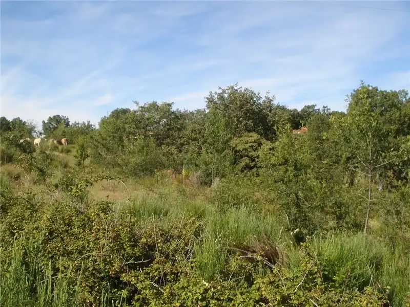 Terrains et parcelles à vendre à Finca Condesa, imagen 12