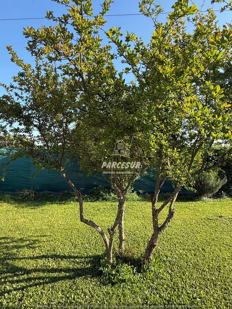 Houses for sale in Córdoba  with Private garden