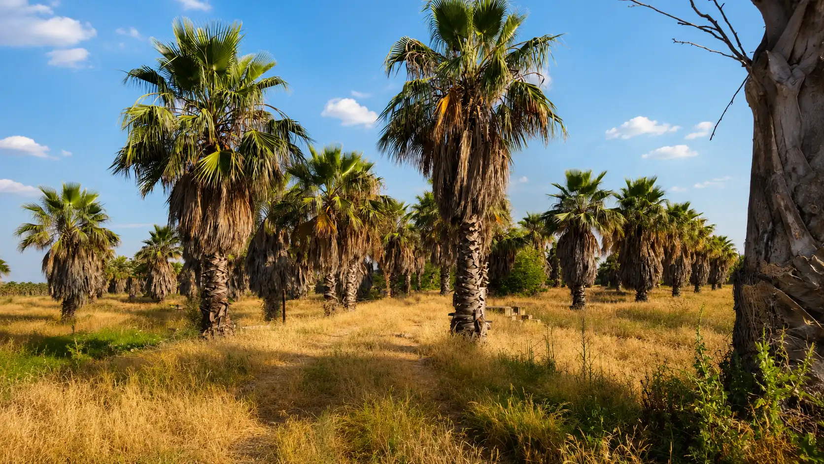 Terreno en venta en Polígono Torremolinero poligono, Ruta de la Plata