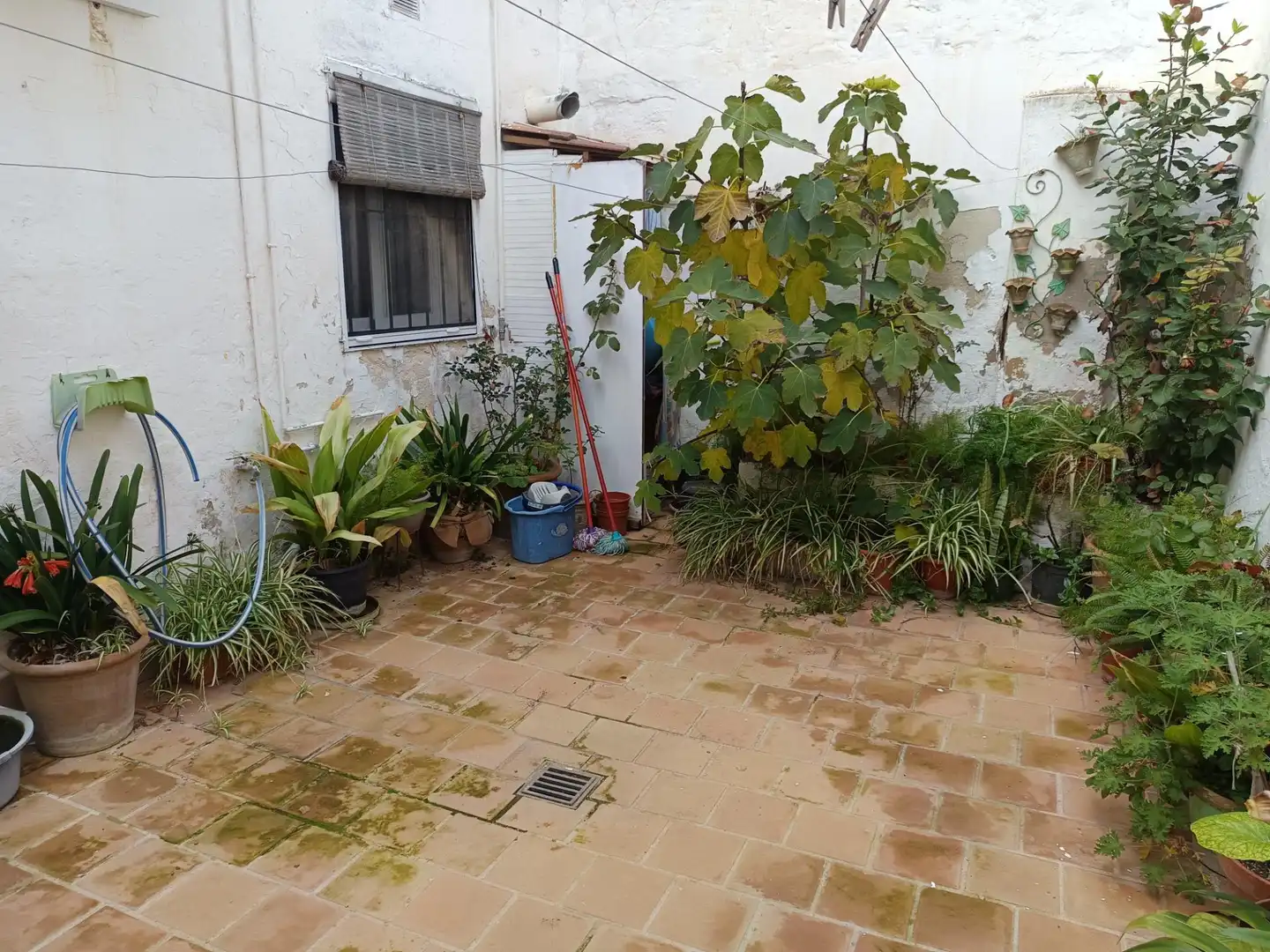 Jardí de Casa o xalet en venda en  Palma de Mallorca amb Aire condicionat, Terrassa i Traster