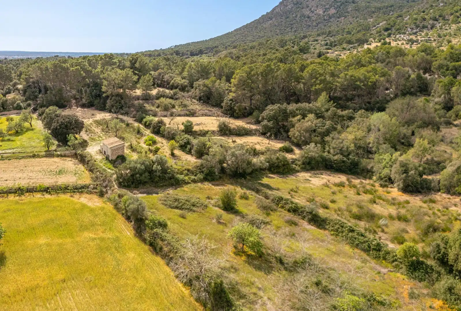 Terreno rustico in vendita a Llucmajor pueblo, imagen 8