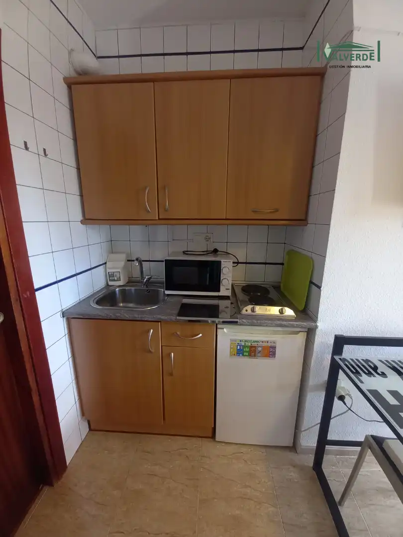 Kitchen of Study for rent in Granada  with Furnished, Washing machine and Microwave