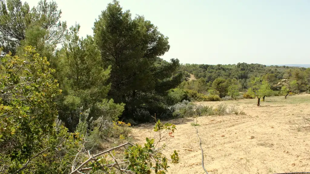 Finca rústica en venda en Maella