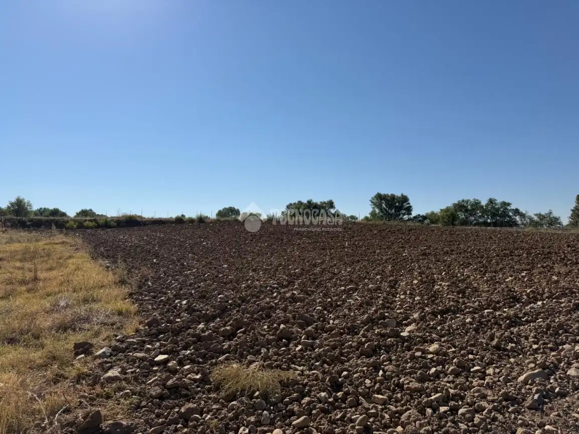 Terreny rústic en venda a Fuente El Saz de Jarama, imagen 15