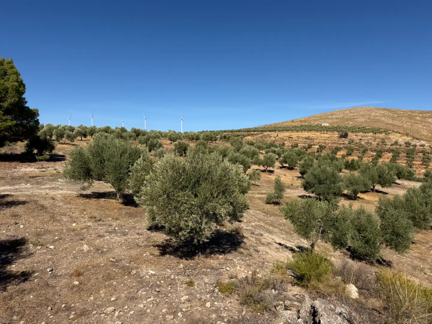 Terreno rustico in vendita a Camino de la Sierra, imagen 13
