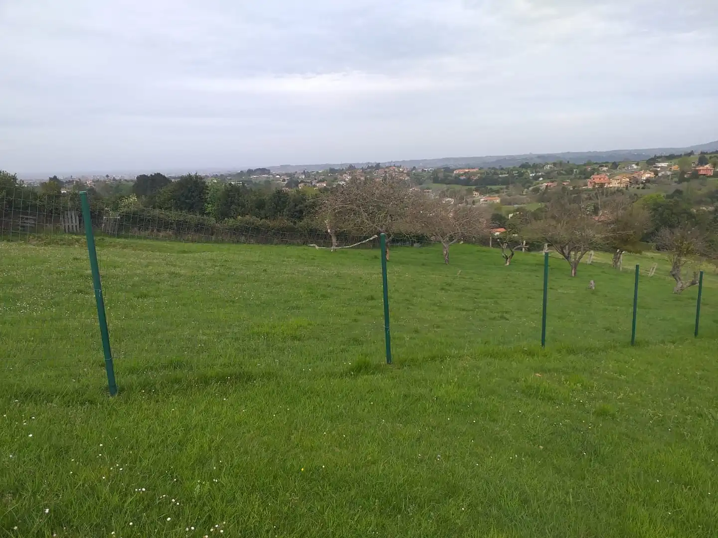 Residencial en venta en Gijón 