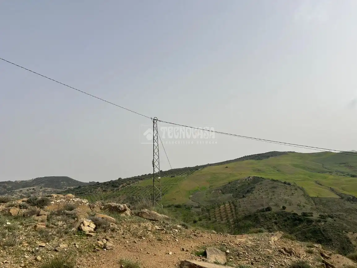 Finca rústica en venta en Antequera